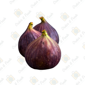FIG (Agamia)