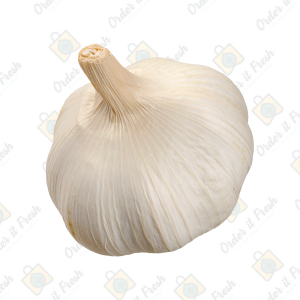 White Garlic