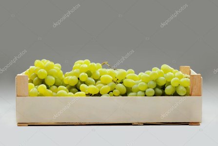 Early sweet Grapes